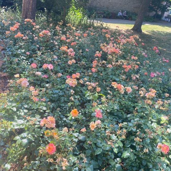 Meet your Posher, Isa - Picture 3 of 4